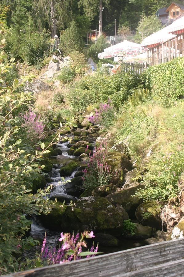 Gastehaus Zur Lilie Hotel Triberg im Schwarzwald Kültér fotó