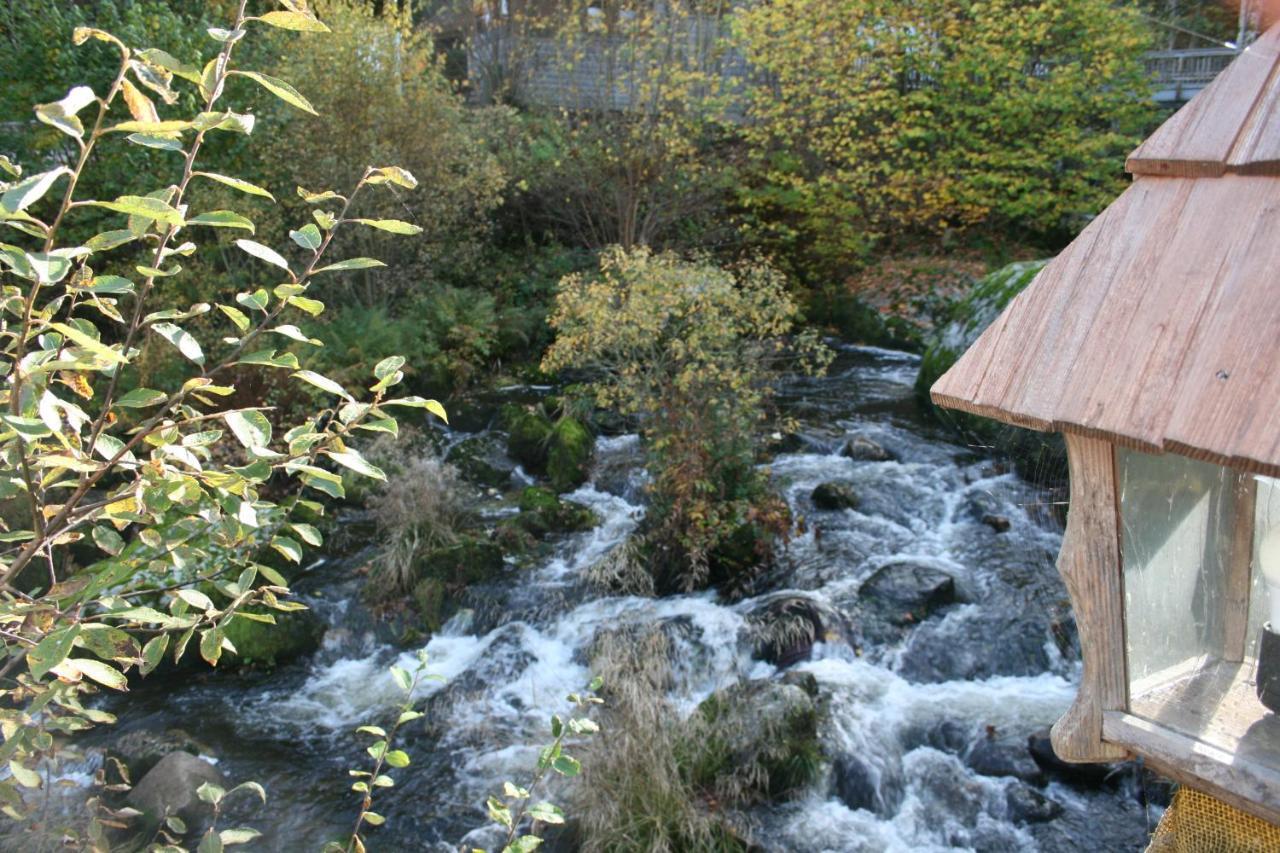 Gastehaus Zur Lilie Hotel Triberg im Schwarzwald Kültér fotó